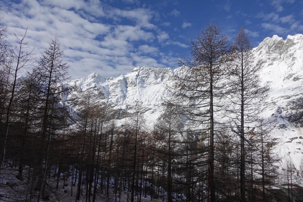 Erikzang - Cervinia Ski In Ski Out Apartments بيريوِل تْشيرفينيا المظهر الخارجي الصورة